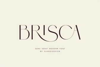 Download Brisca Font for Crafting & Design Projects
